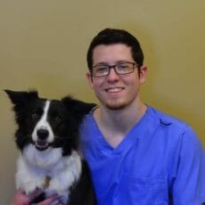 Vétérinaire tenant un petit chien