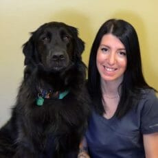 Vétérinaire avec un chien noir