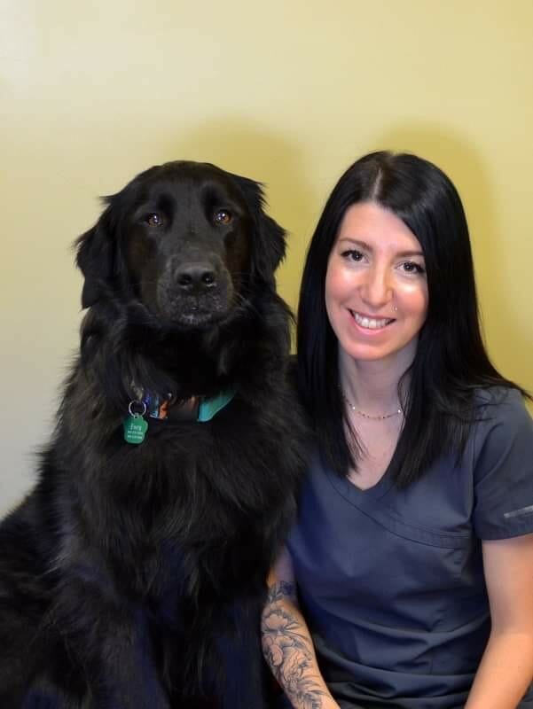 Vétérinaire avec un chien noir